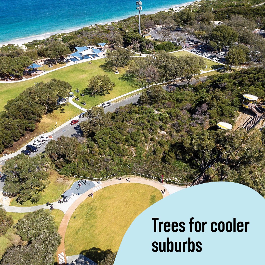 In week two of the WA Tree Festival we are celebrating how cool our trees are. Join us in celebrating all things trees and nature during the WA Tree Festival, running until 5 May 2024. Learn more at ow.ly/mCFG50RbWUr