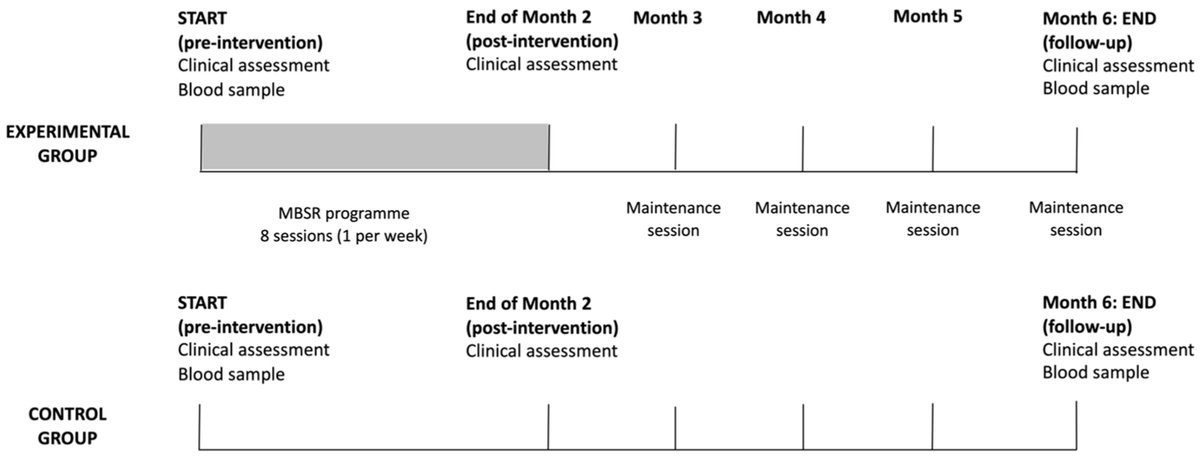 Effects of Mindfulness-Based Therapy on Clinical Symptoms and DNA Methylation in Patients with #PolycysticOvary Syndrome and High Metabolic Risk 👥By Mrs. Hana Dema et al. 🏦University Medical Centre Ljubljana 🔗mdpi.com/1467-3045/45/4… @MDPIOpenAccess #Depression #Anxiety