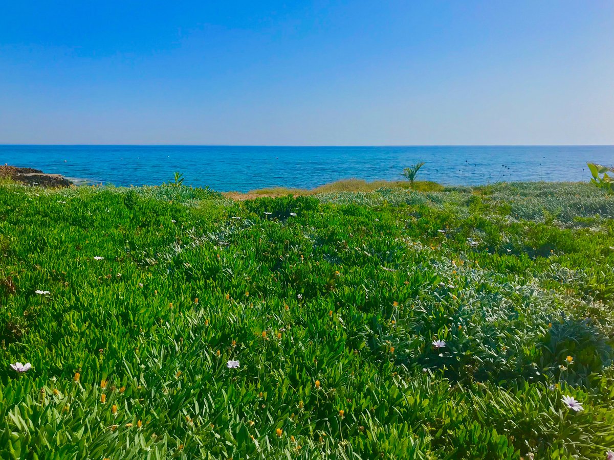 The beautiful seascape wears the vibrant spring colors of the soul.

Good morning!🌊

Protaras