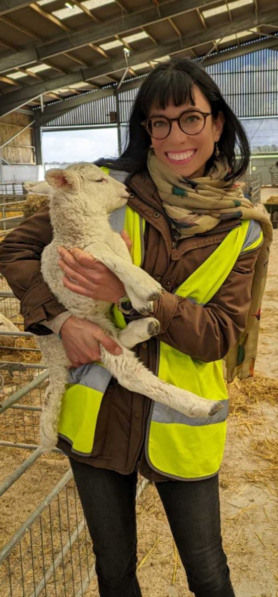 GMitrousia's tweet image. So great to be able to sample soil between heavy showers @Rothamsted at North Wyke. And who would have thought.. baby lamb cuddling can also happen! #agriculture #sciencecomm