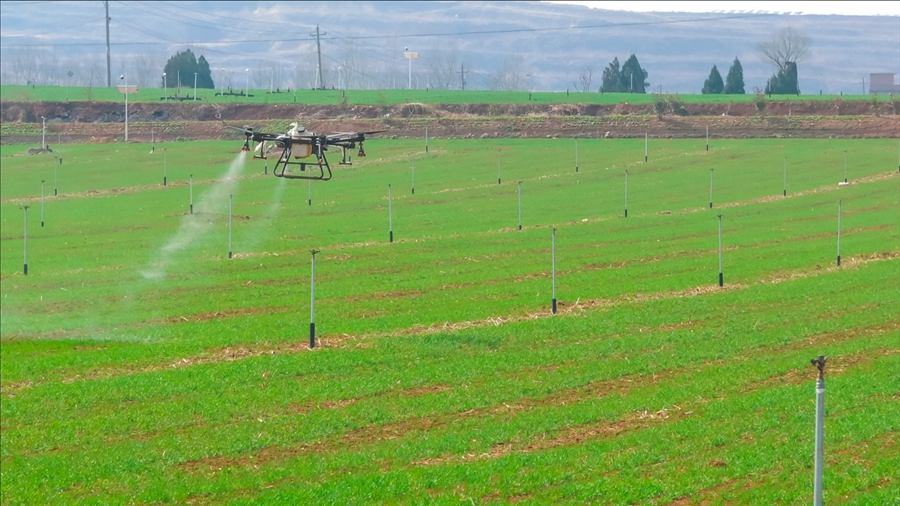 VoiceofPD's tweet image. #SpringinChina
Farmland management has taken top priority in agricultural production this season. With the assistance of new quality productive forces, spring farmland management has unfolded across the vast fields of China.
Read full: en.people.cn/n3/2024/0416/c…