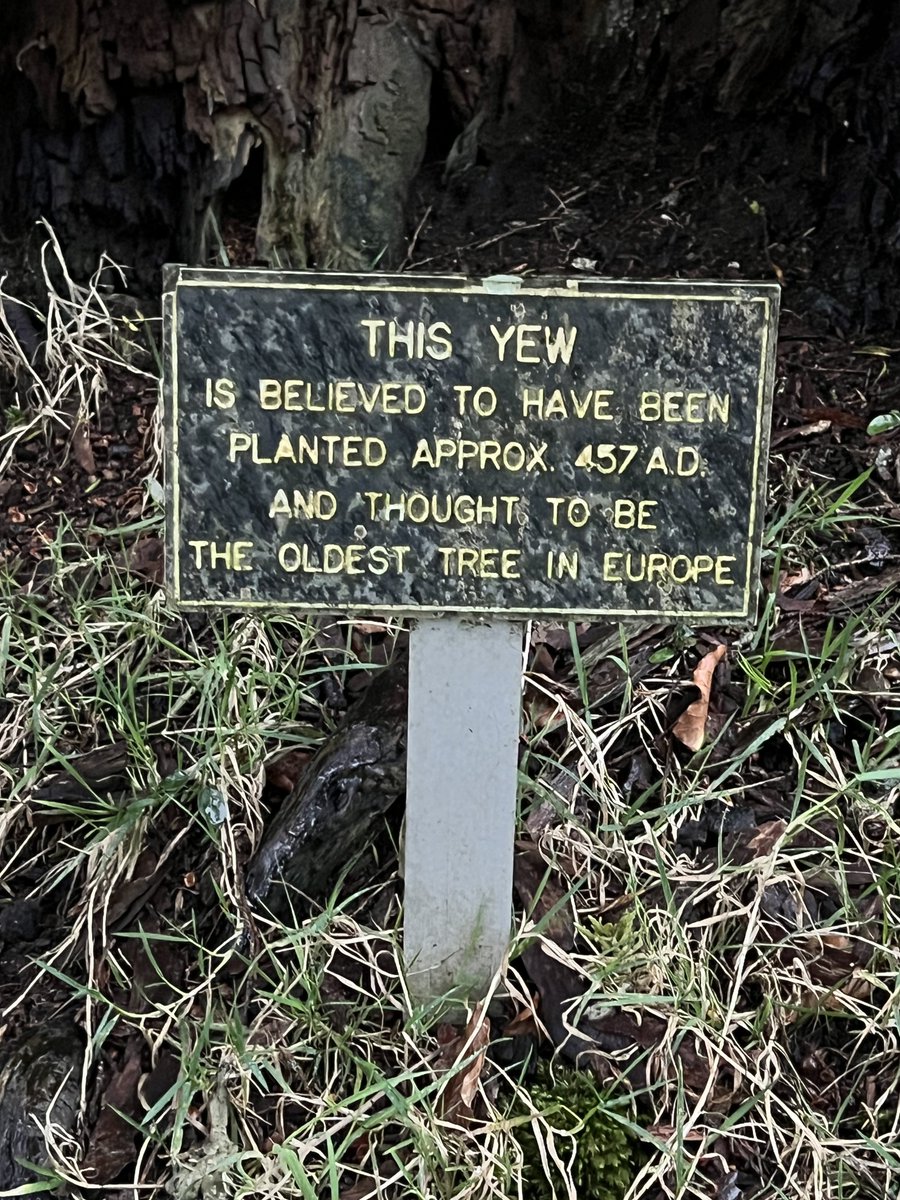 TiCL (NO to a blue tick) tweet media