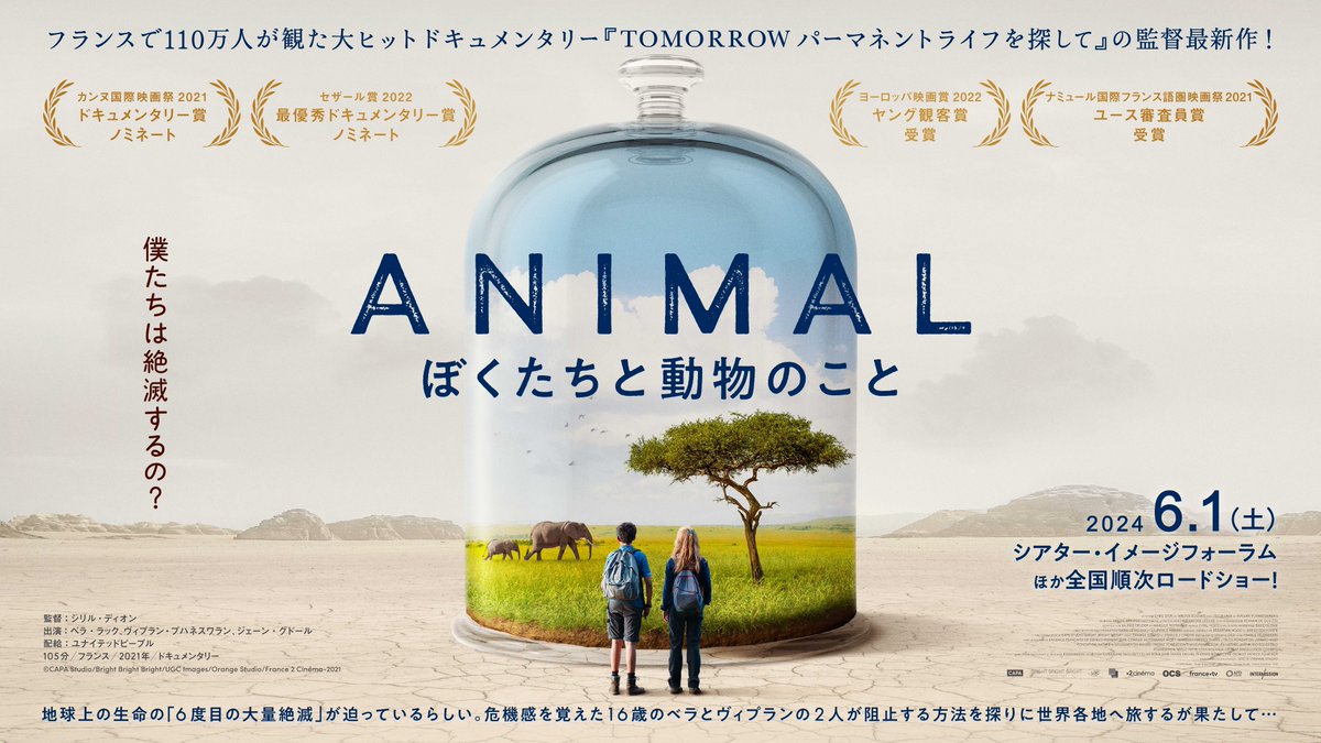 横浜フランス映画祭で『#アニマルぼくたちと動物のこと』をご覧になった方のレビュー。 希望の映画「tomorrow」の後続「アニマル」の見どころと監督のメッセージ。6_1公開が待ち遠しい♡ – KAMAKURA URBAN PERMACULTURE kamakuraurbanpermaculture.com/2024/03/25/mov… 「涙腺が常にうるうるします…私はあと３回は観ます」