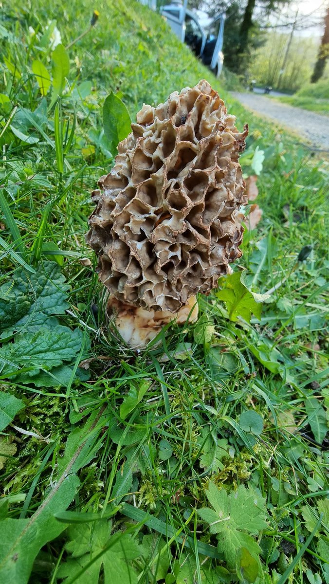 Jamie warren tweet media