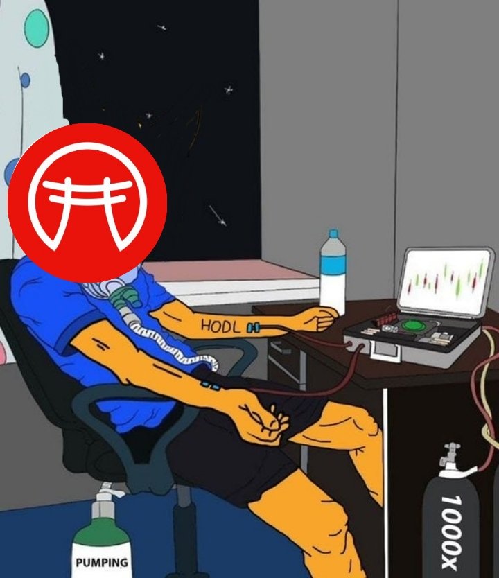 rubysunn126's tweet photo. @dojo1token $DOJO to the moon 🚀🚀🚀🚀🚀🚀🚀🚀 https://t.co/aPyF9unmUO