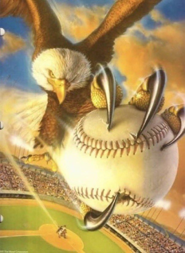 Me: Oh my god, a home run! That fucking bird that I hate: