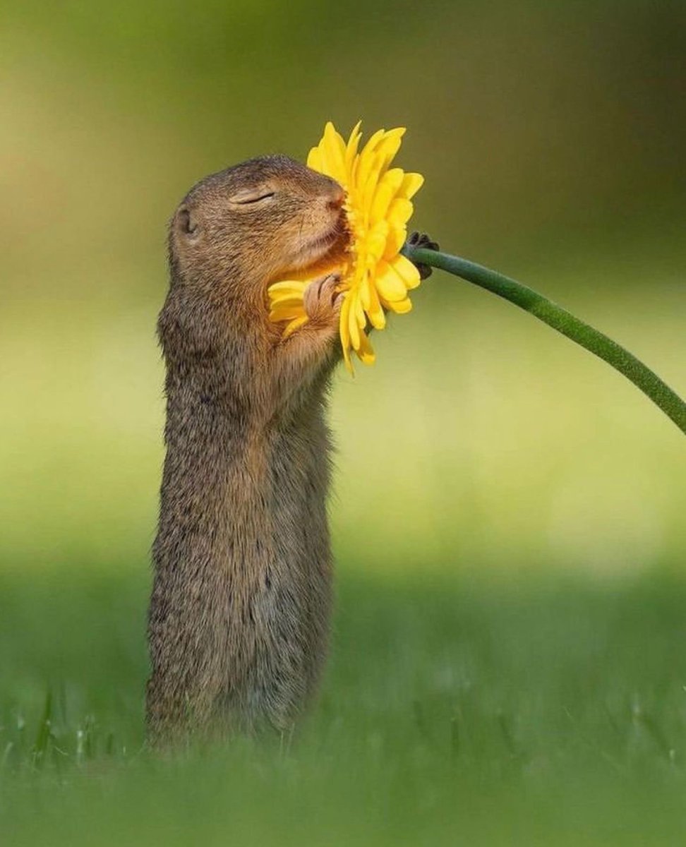 You're only here for a short visit. Don't hurry, don't worry. And be sure to smell the flowers along the way. Walter Hagen Photo by dickvanduijn