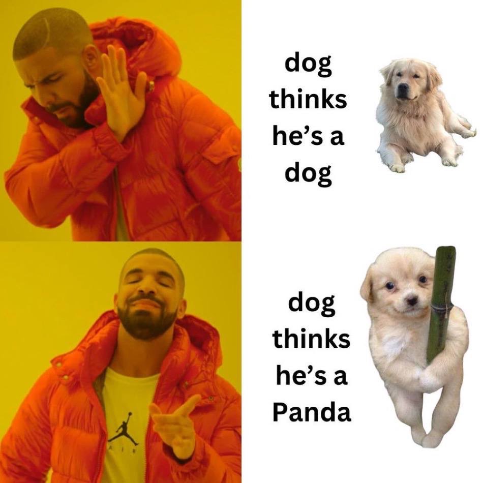 gaejukionsol's tweet photo. @yourcryptodj duh the dog that thinks hez panda >_< https://t.co/o0aD6t81YG