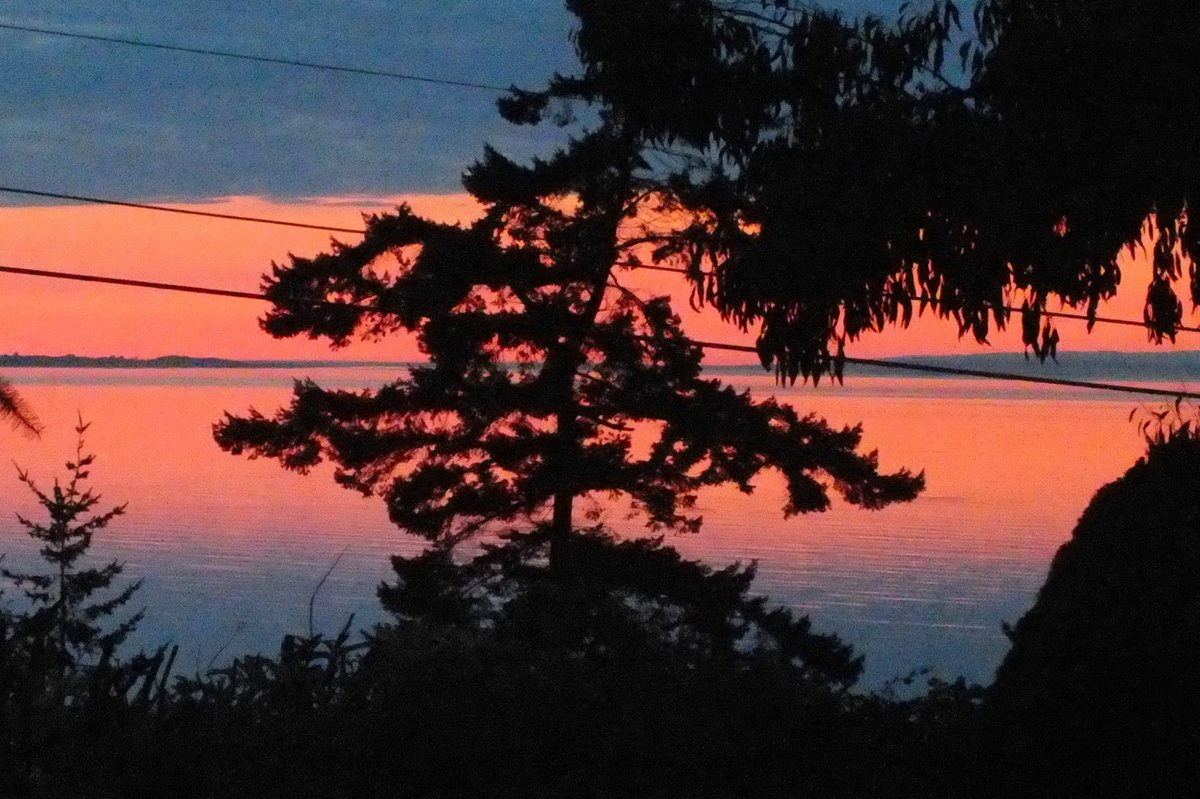 Alchemy Stones tweet media