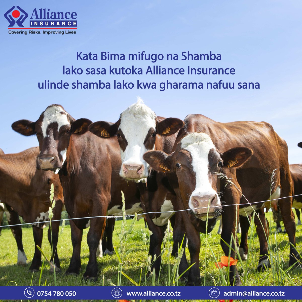 #allianceinsurance #tanzania #daressalaam #insuranceintanzania #insuranceindaressalaam #coveringrisksimprovinglives #farmers #farming #farmersintanzania #protect #protection #protectyourfarm #allianceagricultureinsurance #agricultureinsurance #protectyourcrops #katabima