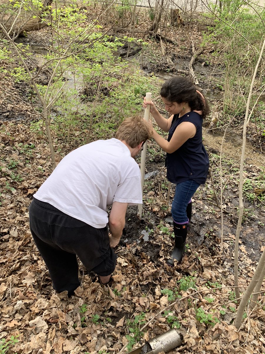 Students deciding where to install a well in our local field site for Hydrogeology class!