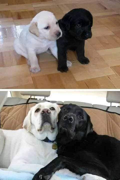 before and present.