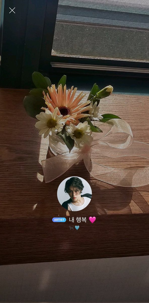 Felix Latam tweet media