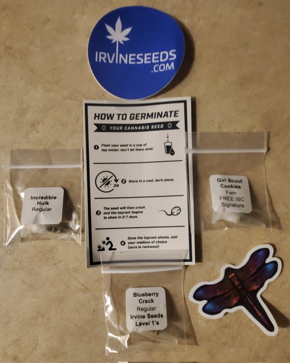 Mail Call @irvineseedco I ordered 1. Incredible Hulk F 2. Girl Scout Cookies F Freebie 3. Blueberry Crack Regular level 1 tester. Cant wait to grow. Thank you