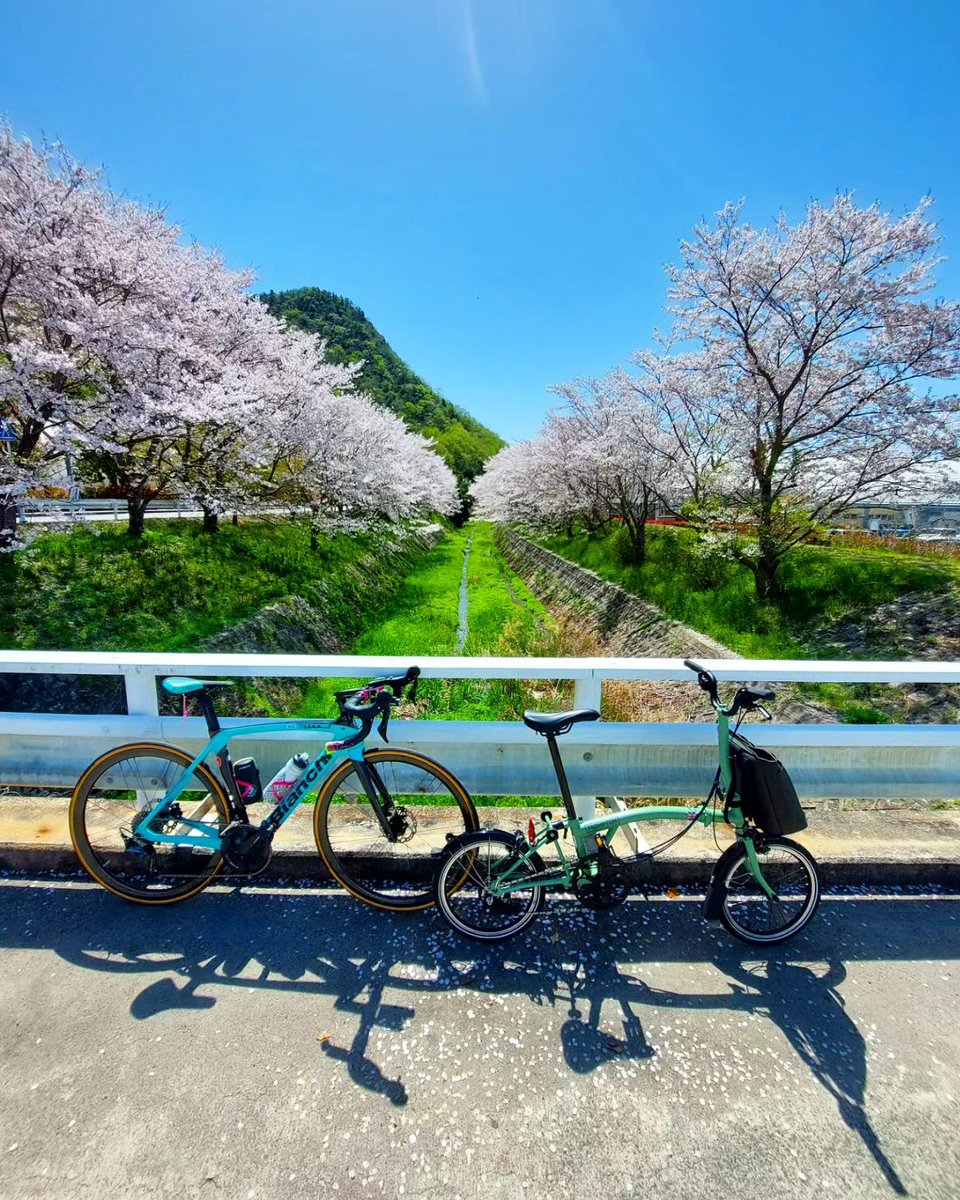 4月10日父娘🧔👩片鉄ロマン街道サイクリングの様子です✨
#ロードバイク #roadbike #ビアンキ #Bianchi #Brompton #ブロンプトン #小径車 #片鉄ロマン街道