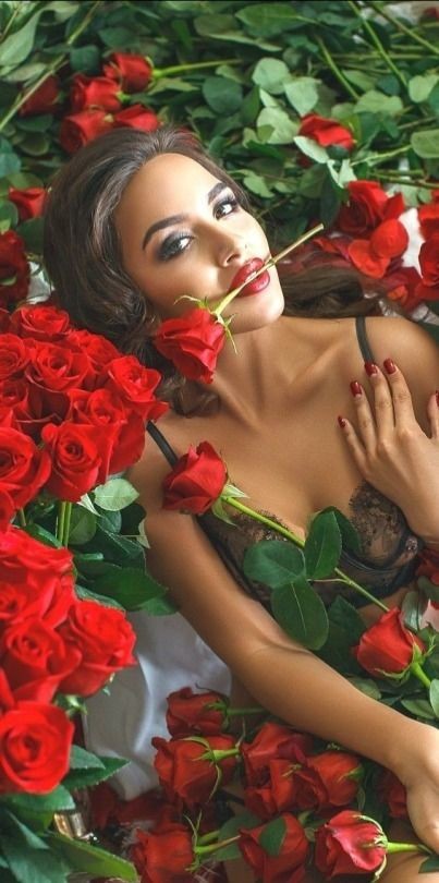 @Silau25 🌹❤️Rose❤️🌹