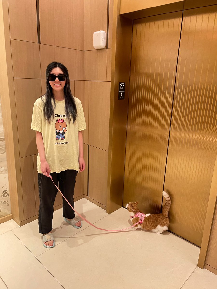 jaime💛✨🫶 tweet media