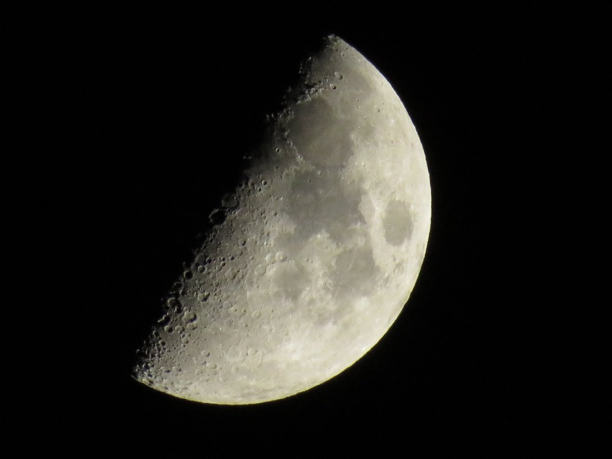 coachpam2's tweet photo. The First Quarter Moon 4/15/2024🌙!
#aprilmoon #bellaluna #moonlight #moonmagic #moonphase https://t.co/YX292TPI3v