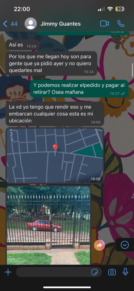 Zulema Castillo tweet media