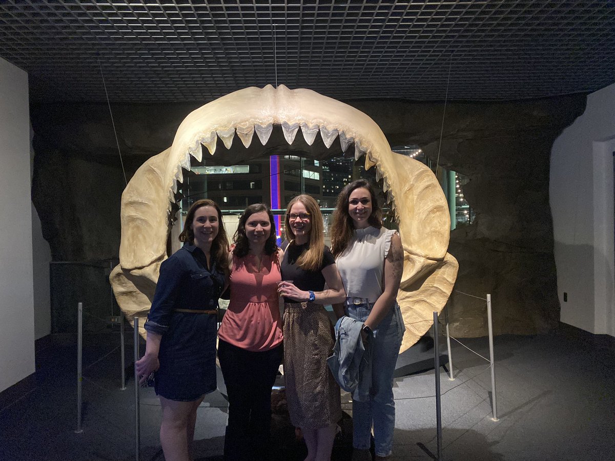 Fun science fact: You can fit &gt;4 Sports Medicine docs in a Megalodon’s mouth. #amssm24 #womeninmedicine #medtwitter
