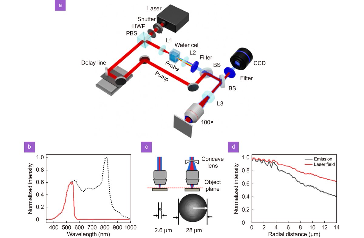 'Ultrafast dynamics of femtosecond laser-induced high spatial frequency periodic structures on silicon surfaces', published in Opto-Electronic Science @OptoElectronAdv Full-length paper available at oejournal.org/article/doi/10…