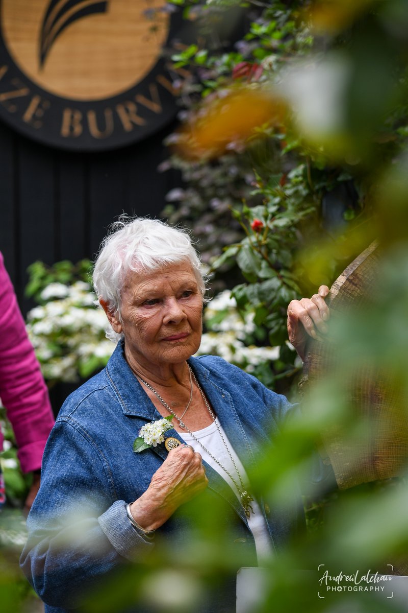 Chelsea Flower Show, 2022 Photographer: Andrew Lalchan #JudiDench #ChelseaFlowerShow