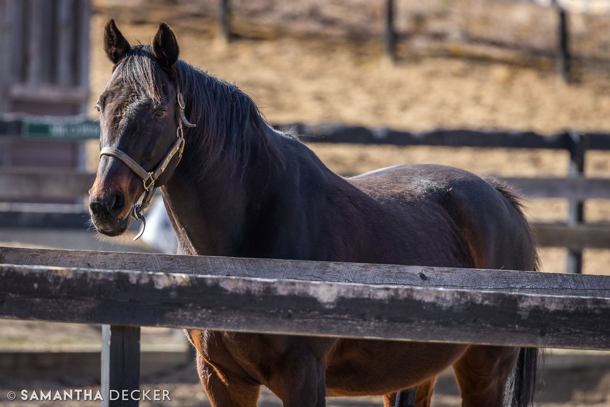 Happy 2️⃣2️⃣nd Birthday to millionaire Naughty New Yorker of @OldFriendsCC!