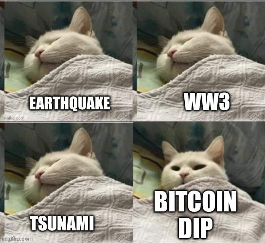 😂when the #Bitcoin price alarm wake me up.... will you buy the black swan DIP? ☮️