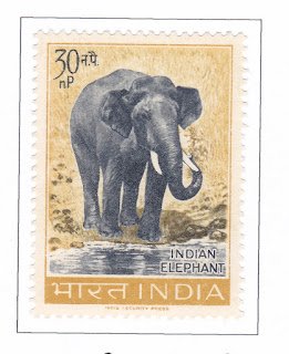 Today in the history of stamps

16 April - Save The Elephant Day

stampinformationday.blogspot.com/2024/04/16-apr…

#elephants #elephant  #wildlife 
#stamphistory #historyofstamps #collectingstamps #Dailystamp #philately #Stamps #hobby #indiastamp #stamp #postalstamp #indiapost #postcard  #postoffice