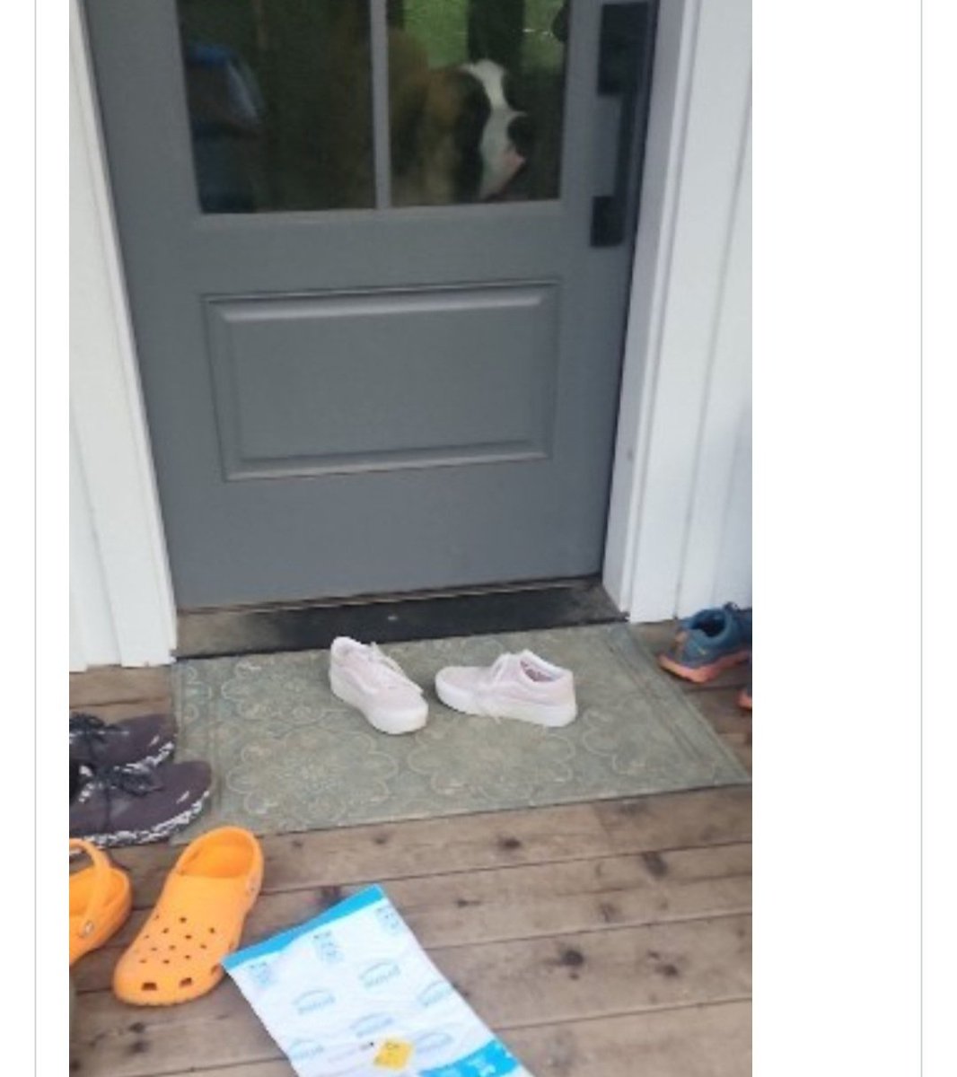 introvertedpnw's tweet image. I love these photos 😂😂