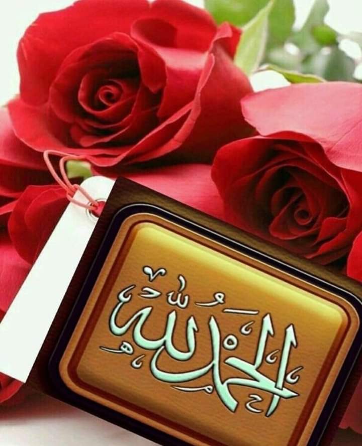 Sajid Mahmood tweet media