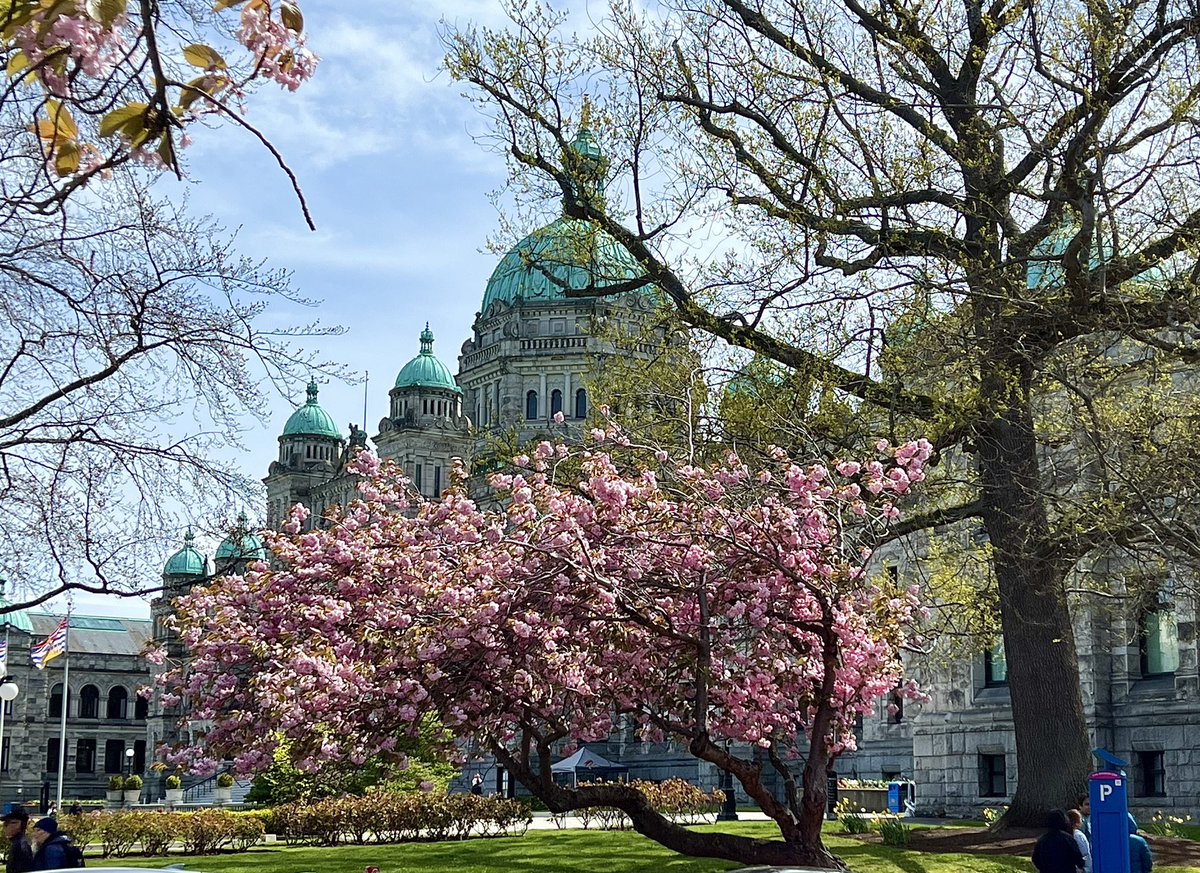 JK Chantler tweet media