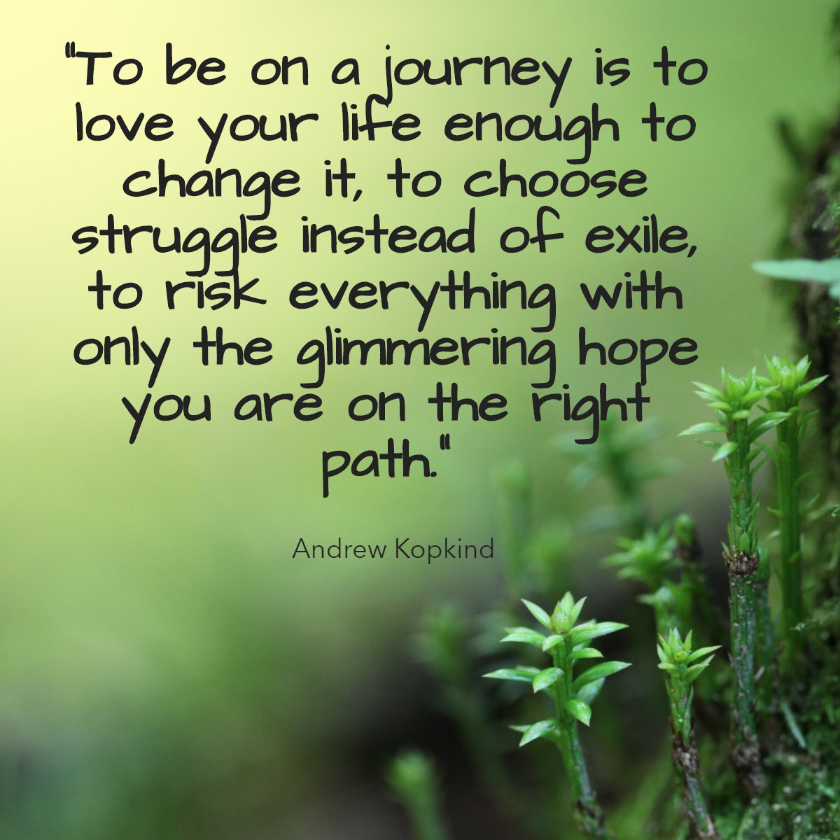 'To be on a journey is to love your life enough to change it, to choose struggle instead of exile, to risk everything with only the glimmering hope you are on the right path.' 
— Andrew Kopkind 🤗

#journey #quotes #wisdom #wisdomquotes #wordsofwisdom #quotestagram