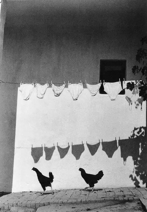 by  Bruno Bourel