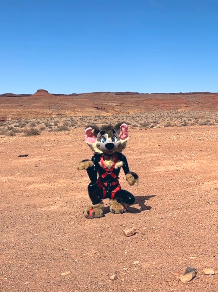 Ankle biter Aardwolf (@cuffedaardwolf) on Twitter photo <a href="/DaMoosePup/">Tug collar, Get reward.</a> I try my best to fulfill the fantasies of the other parties. When they play with me I do everything I can to immerse them that they are playing with this Aard creature. Not some human in latex or costume. Make them forget that part. Enable them to do what they want and not what I <a href="/DaMoosePup/">Tug collar, Get reward.</a> I try my best to fulfill the fantasies of the other parties. When they play with me I do everything I can to immerse them that they are playing with this Aard creature. Not some human in latex or costume. Make them forget that part. Enable them to do what they want and not what I