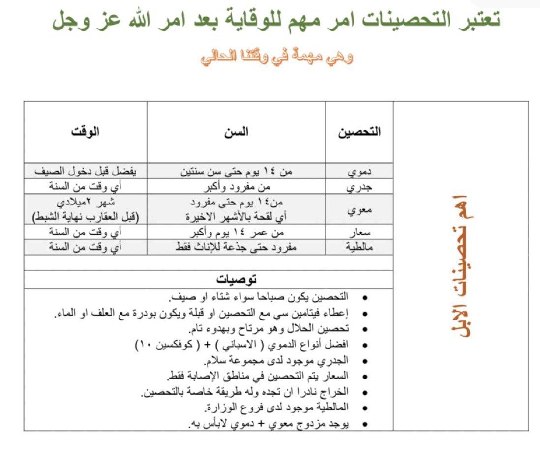 مُلخص لأهم تحصينات الإبل 🐪 ،، للمحافظة على الإنتاج و الصحه العامه  #ناقه #جمل #camel