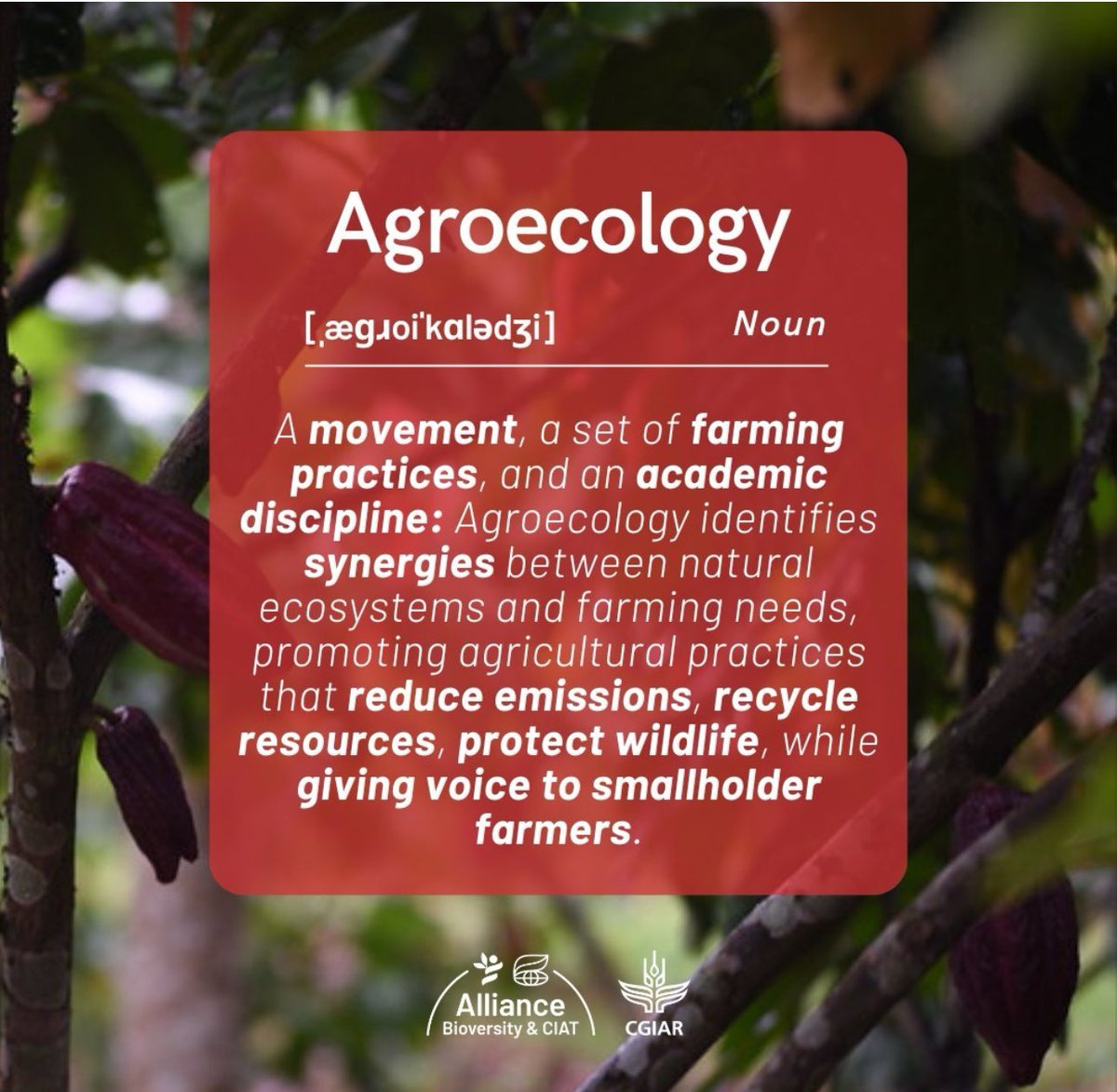 Francois_Roger's tweet photo. @Cirad from @BiovIntCIAT_eng
#dP_ASEA @ASSETProjectSEA https://t.co/XdJOx9pVAT