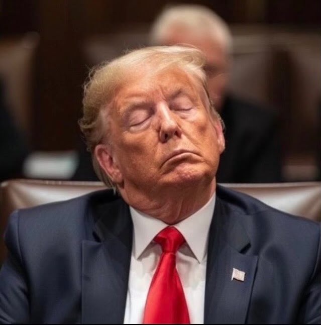 Stephen Steele tweet media