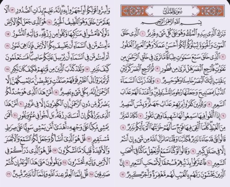 أرين🇸🇦 tweet media