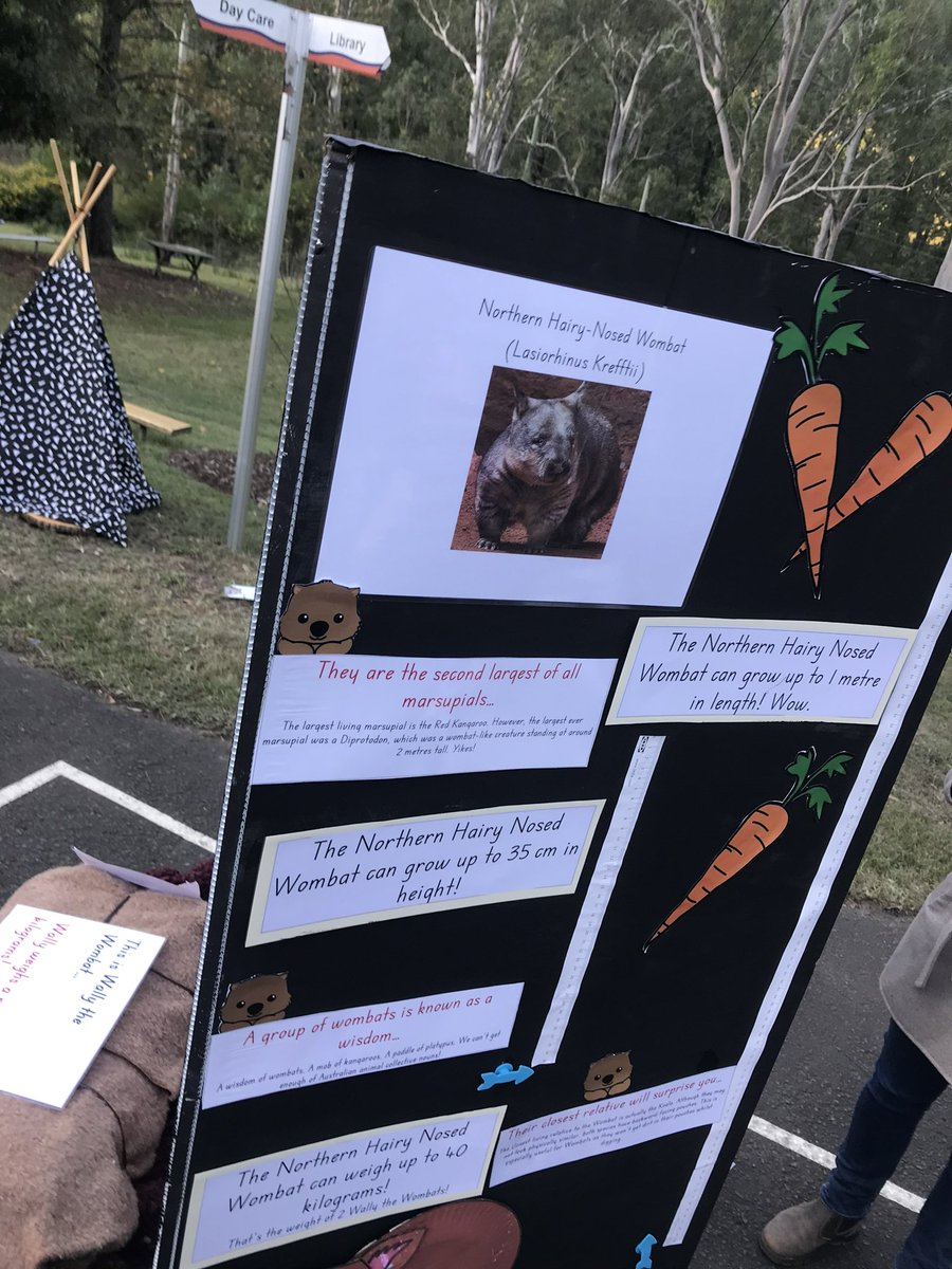 Kindness, collaboration and excitement were in abundance at the hub of the local community, McDonald Valley Public School, on Friday evening, capping off another successful term at this stunning small school in Windsor network. 
Students, staff and parents partnered with Toby the