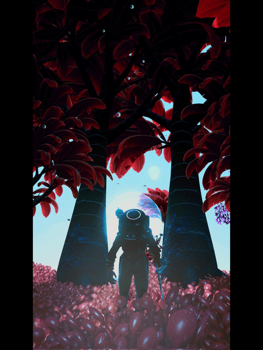 Beauty of the forrest #NoMansSky #HelloGames #PlayStation5 #VirtualPhotography #VPUnityHub #VPRT #ArtisticofSociety #WorldofVP #LandofVP #VPInspire #VPGamers #TheCapturedCollective #TheFourthFocus #VPGUnite #VPGEclipse #VPGE #ThePhotomode