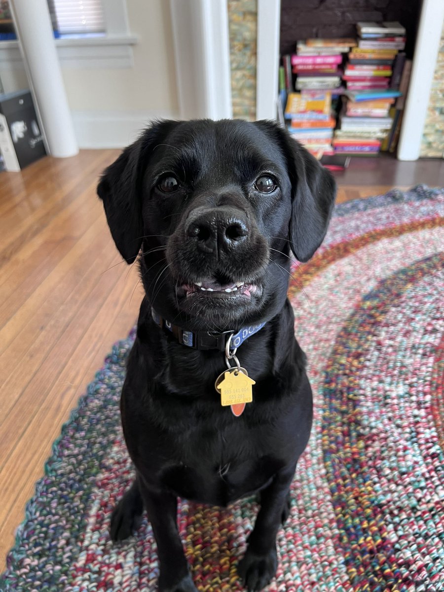 sofie hernandez 🤠 tweet media