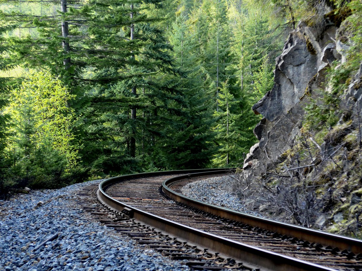 Greening up along the tracks, mid-April. #mountainlife #kootenays #britishcolumbia