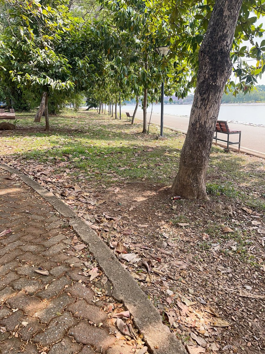 6969doming's tweet photo. เงียบดี https://t.co/30gWbO1Bfz