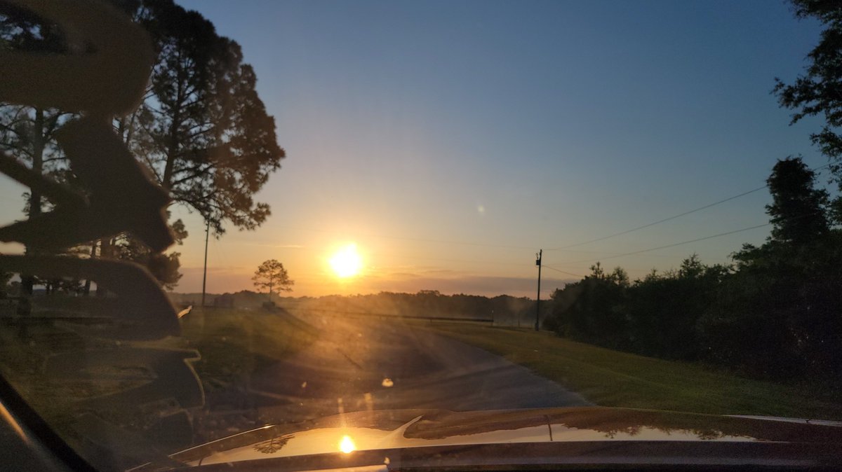 TheTickerBoo's tweet image. 