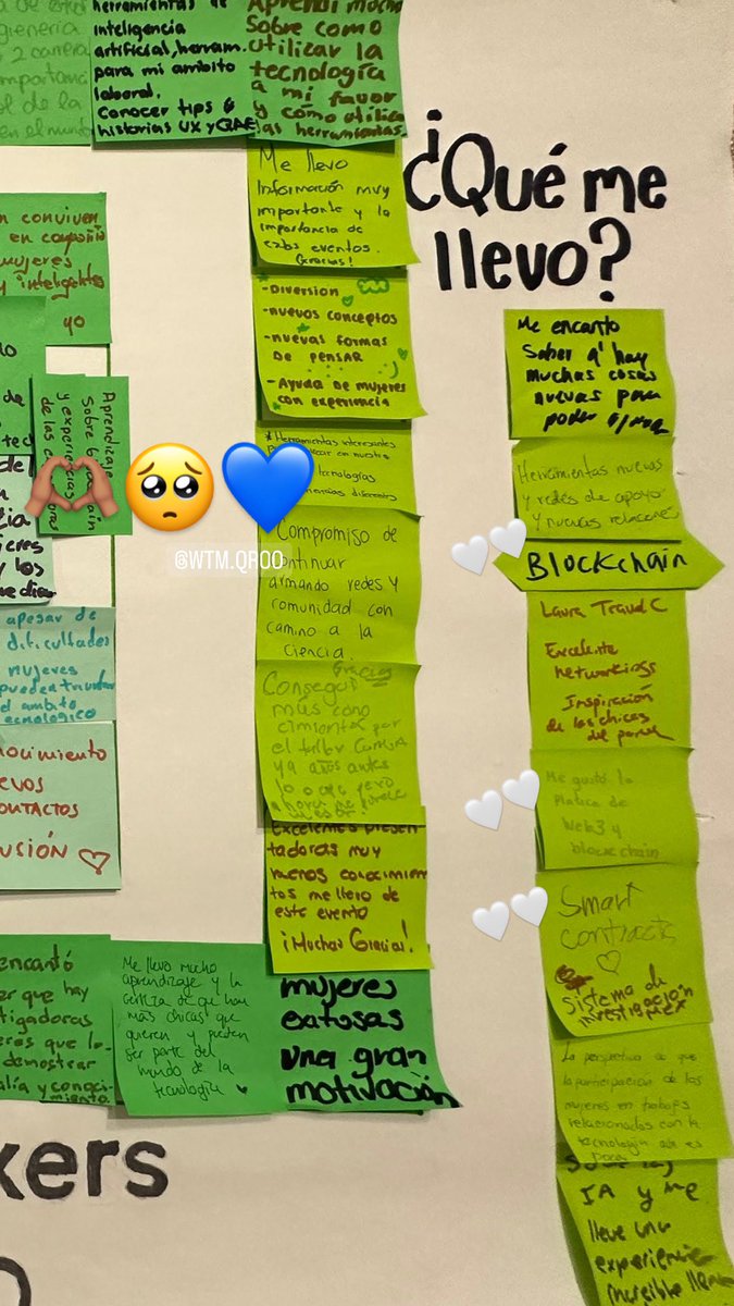 Antonia Araceli tweet media