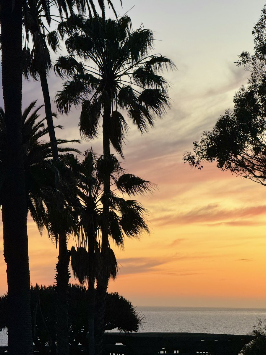 Beautiful sunset tonight over Santa Monica Bay. 🌴🌤️🌴