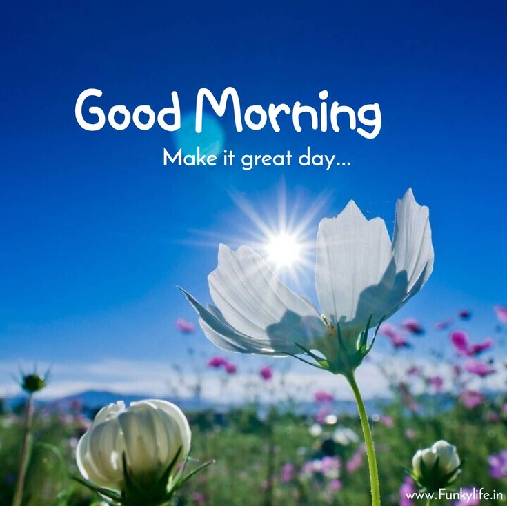 singh_ap_'s tweet image. You should always keep giving a positive shape to your personality and your characters...

हमे अपने गुणों के महत्व को समझकर आगे बढ़ना चाहिए!!🌄✨
#Motivationvibes 
#tea☕