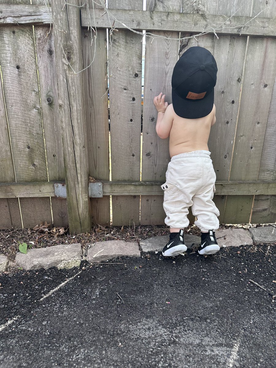 jlopes08 tweet media