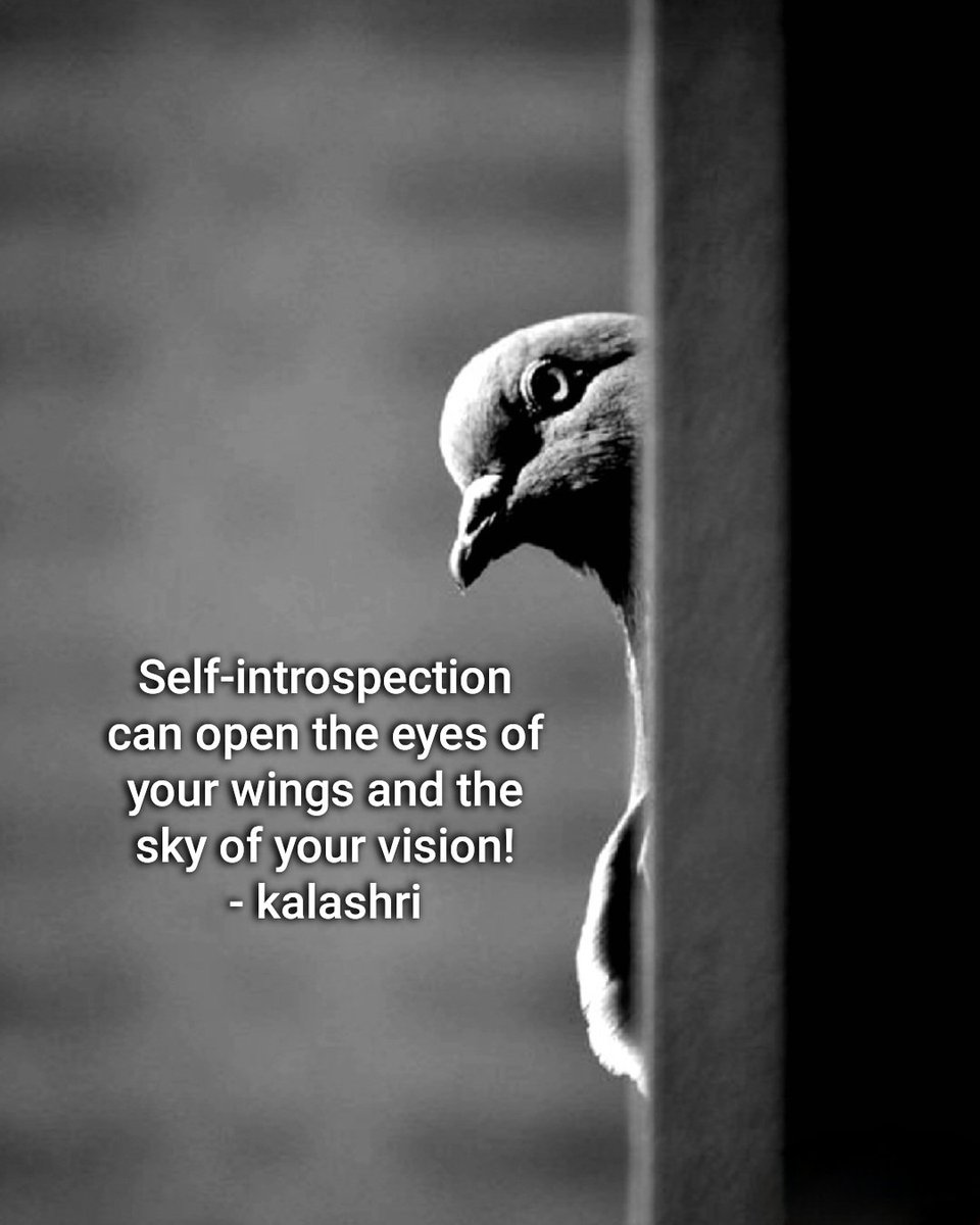 Self-introspection can #open the #eyes of your #wings and the #sky of your #vision! - kalashri #please #spirituality #close #my #photography #photooftheday #closeup #closeupphotography photo #photographer #search #pain #selflove #energy #dream #energyhealing #bestfriend #right